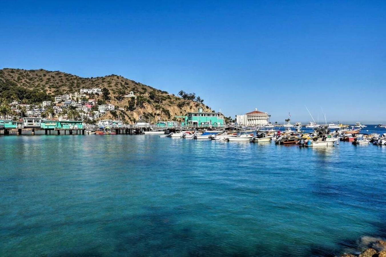 Gorgeous Oceanfront Villa With Panoramic Views Avalon Exteriör bild